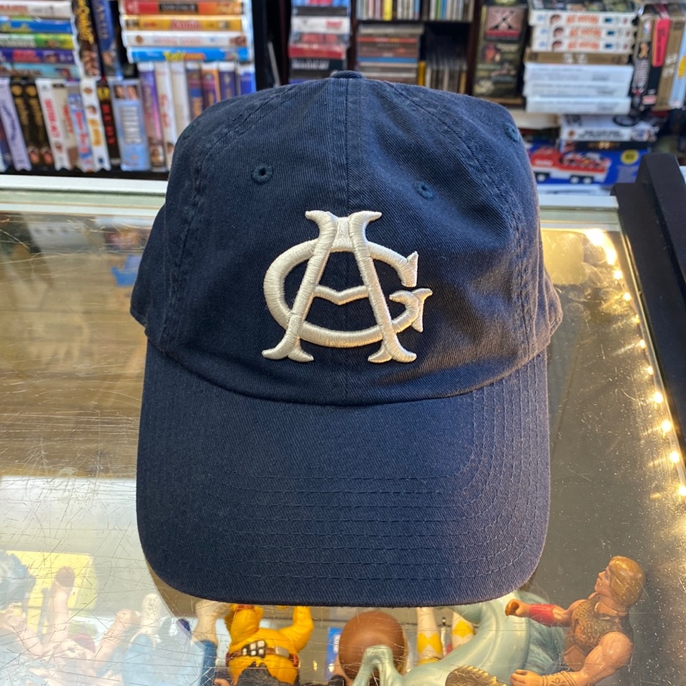CHICAGO AMERICAN GIANTS American Needle Negro League Baseball Dad Hat